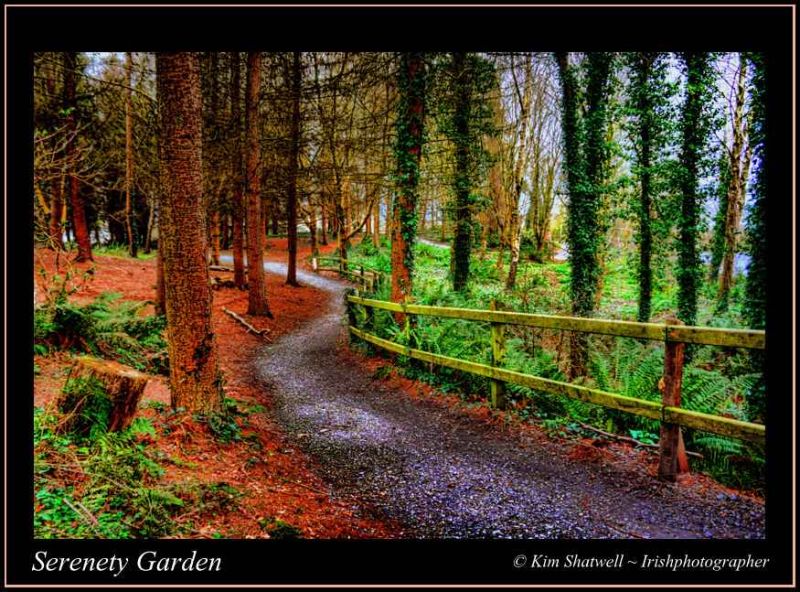serenety garden.jpg